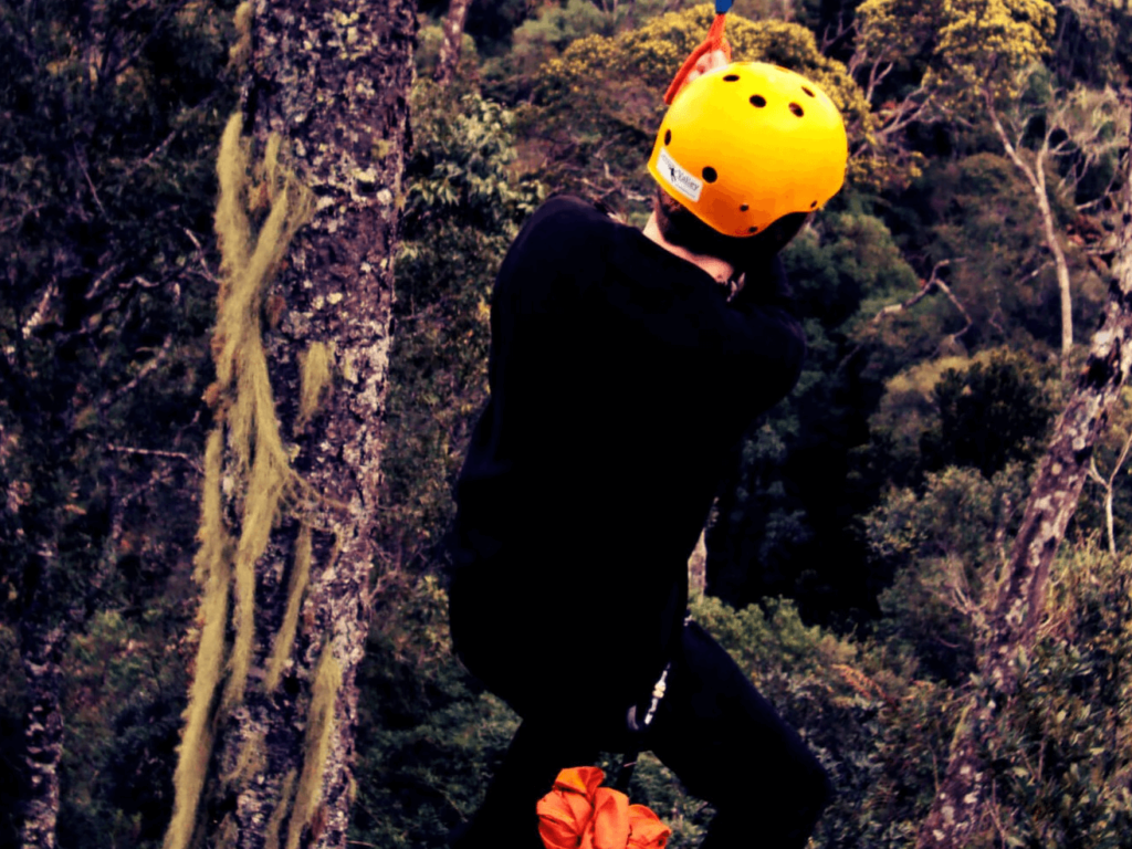 Treetop adventure of the forest at Valley Zipline Tours / Flickr / Ivan Hadlich
Link:
https://www.flickr.com/photos/ihadlich/7767769958/